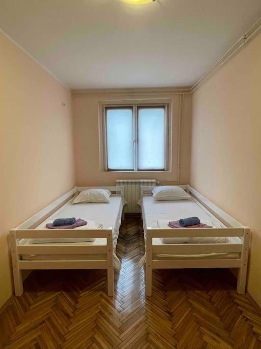 Bg Sunflower Apartment Belgrade Luaran gambar